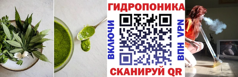 наркотики  Зеленогорск  Canna-Cookies конопля 