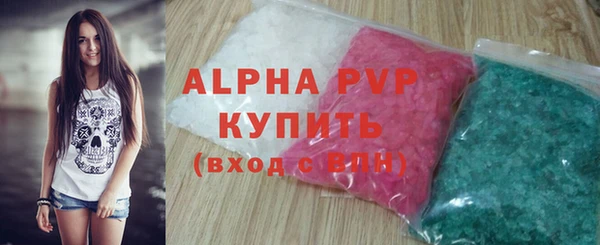 индика Нестеровская