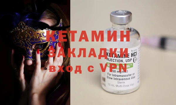 прущие грибы Няндома