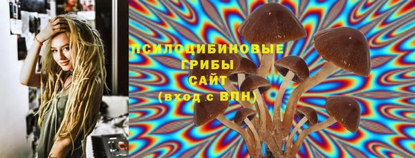 прущие грибы Няндома