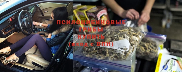 амф Новозыбков
