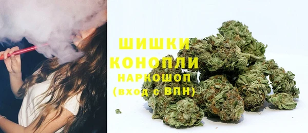 прущие грибы Няндома