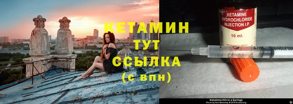 прущие грибы Няндома