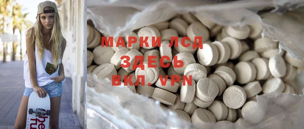 прущие грибы Няндома