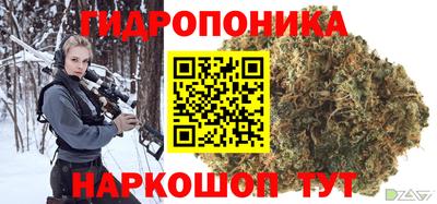 гашик Бийск