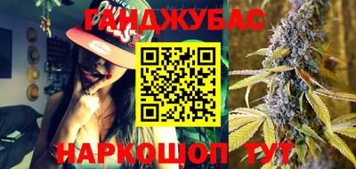 гашик Бийск