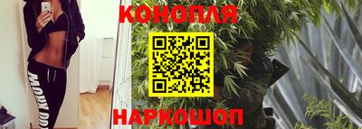 ПСИЛОЦИБИНОВЫЕ ГРИБЫ Берёзовский