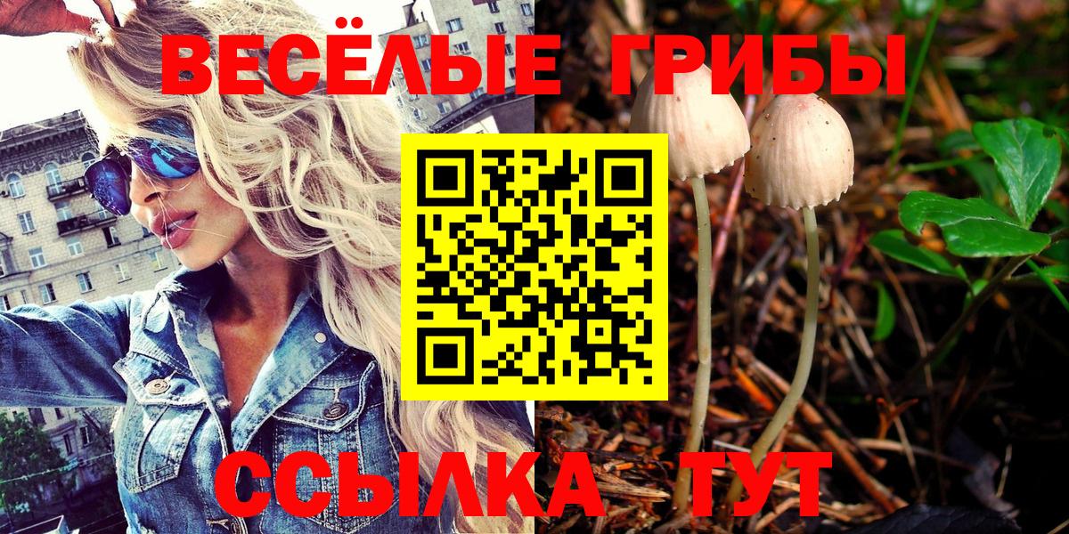 Галлюциногенные грибы Psilocybe  Вход с VPN  Галлюциногенные грибы Magic Shrooms  сколько стоит  Зеленогорск 