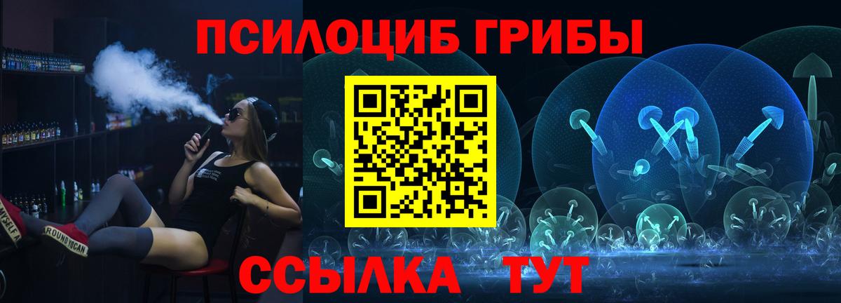 Псилоцибиновые грибы Psilocybine cubensis Зеленогорск