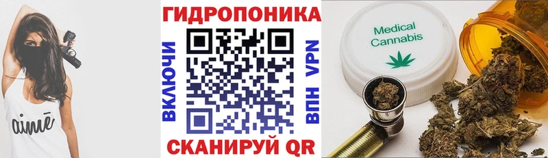 что такое   Зеленогорск  Конопля индика 